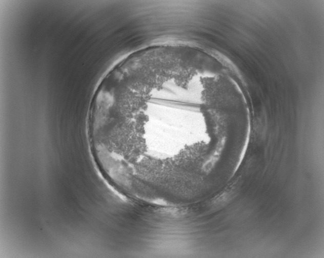 X0000068890855200606021917