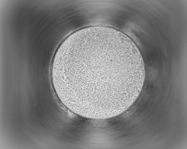 X0000068890856200606021917