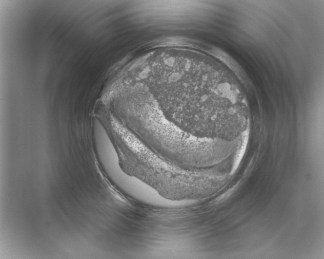 X0000068890857200606021917