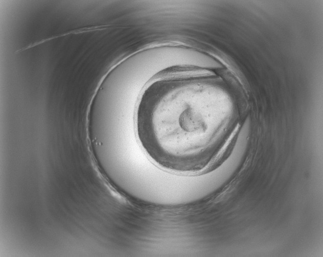 X0000068890858200606021917