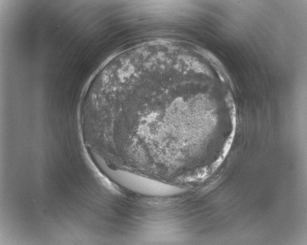 X0000068890859200606021917