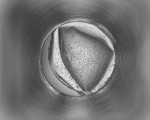 X0000068890860200606021917