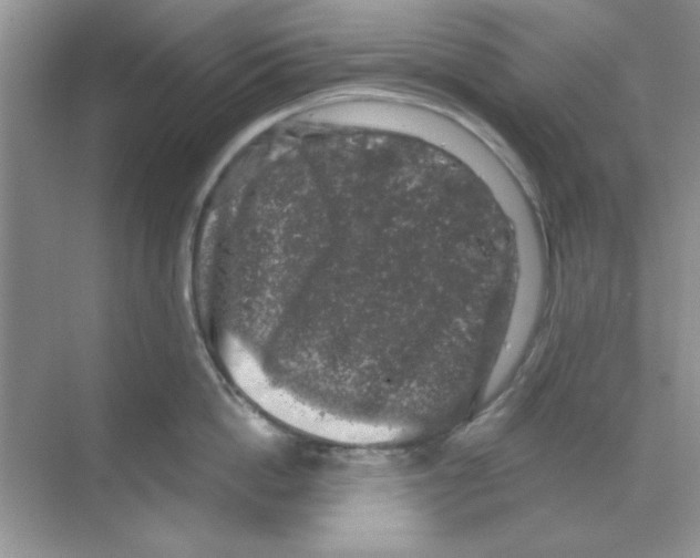 X0000068890862200606021917