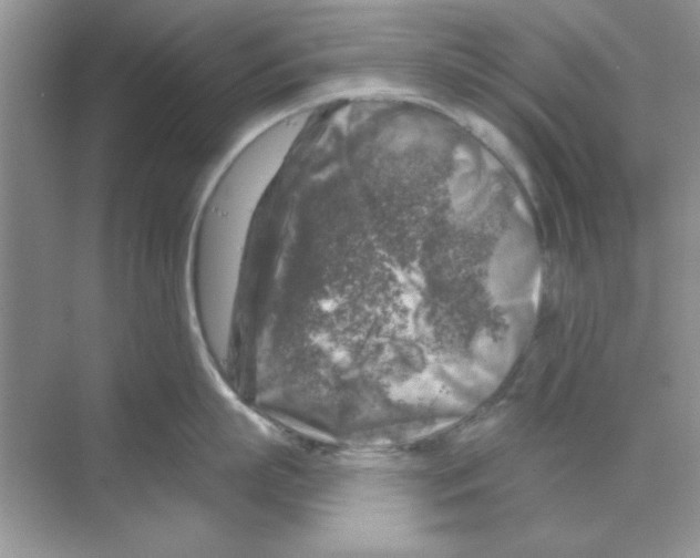 X0000068890863200606021918