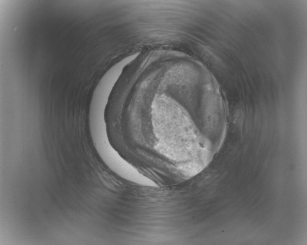 X0000068890868200606021917