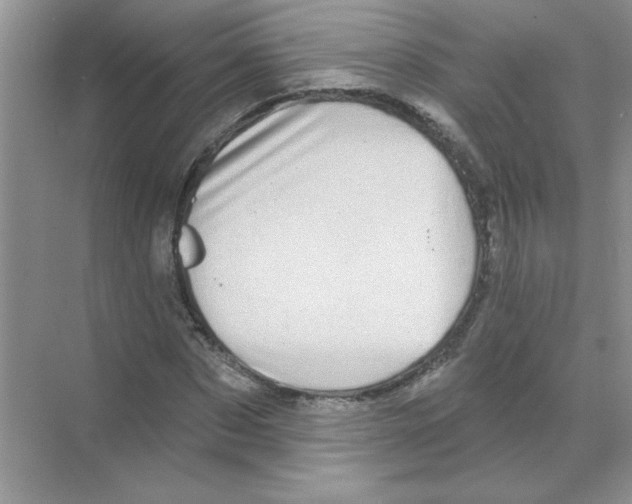 X0000068890873200606021917