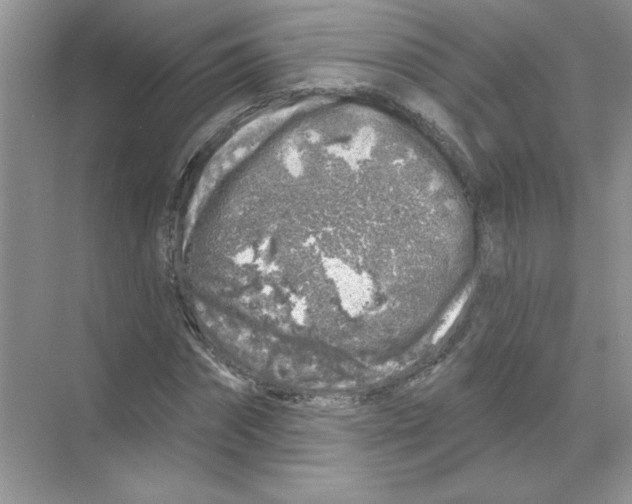 X0000068890874200606021917