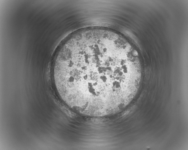 X0000068890875200606021917