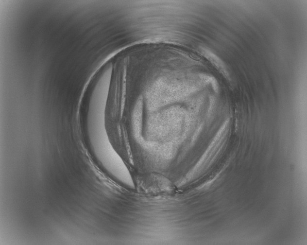 X0000068890876200606021917