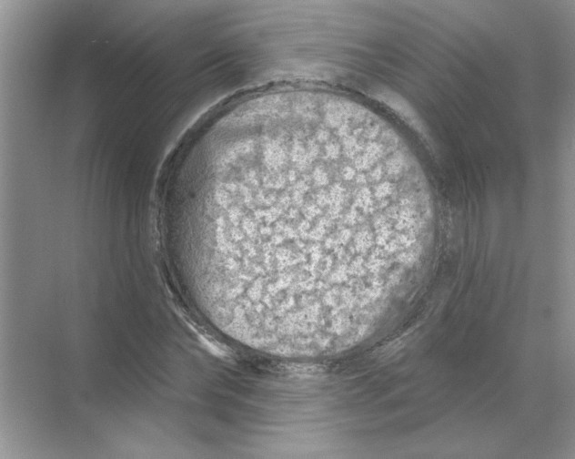 X0000068890878200606021916