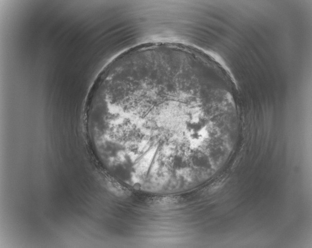 X0000068890879200606021916