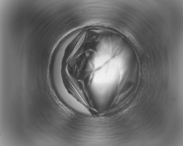 X0000068890880200606021916