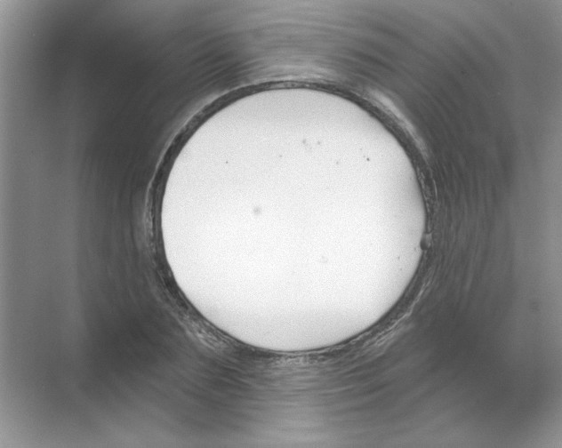 X0000068890883200606021916