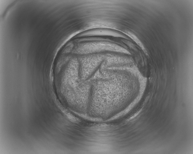 X0000068890885200606021916