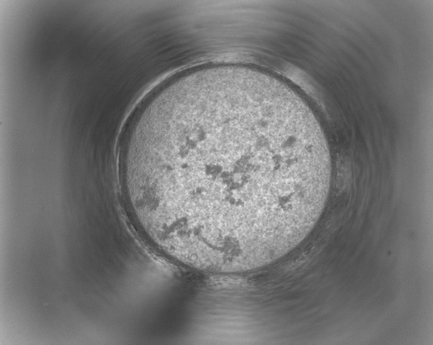 X0000068890886200606021916