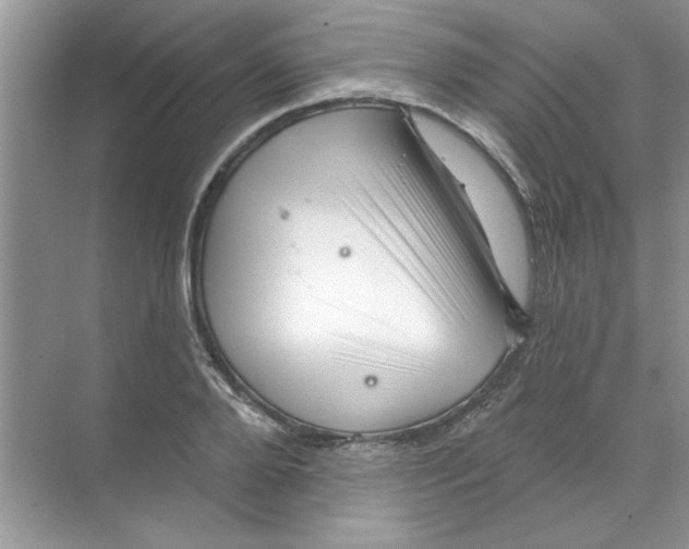 X0000068890888200606021916