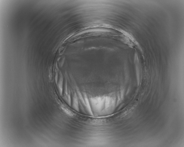 X0000068890889200606021916