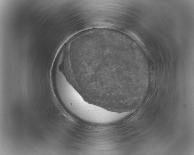 X0000068890891200606021916