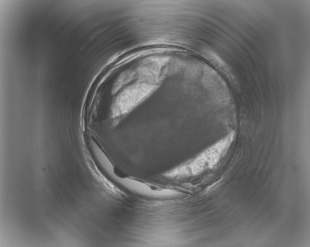 X0000068890892200606021916