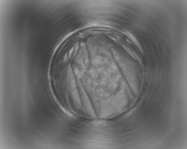 X0000068890893200606021916