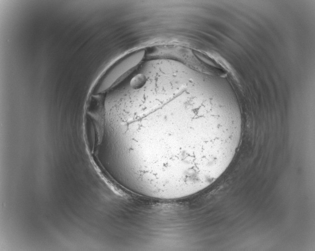 X0000068890894200606021916