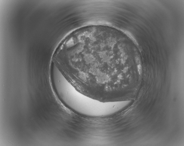 X0000068890895200606021916