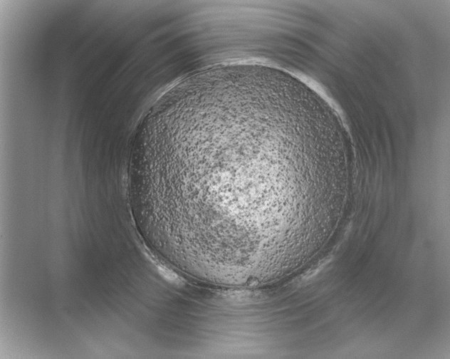 X0000068890897200606021916