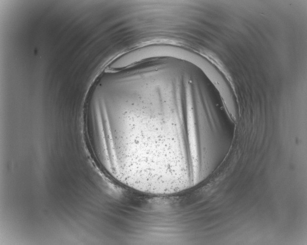 X0000068890898200606021916