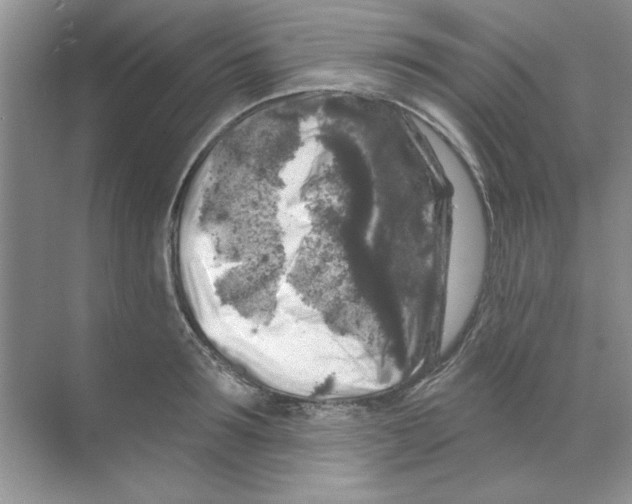 X0000068890899200606021916