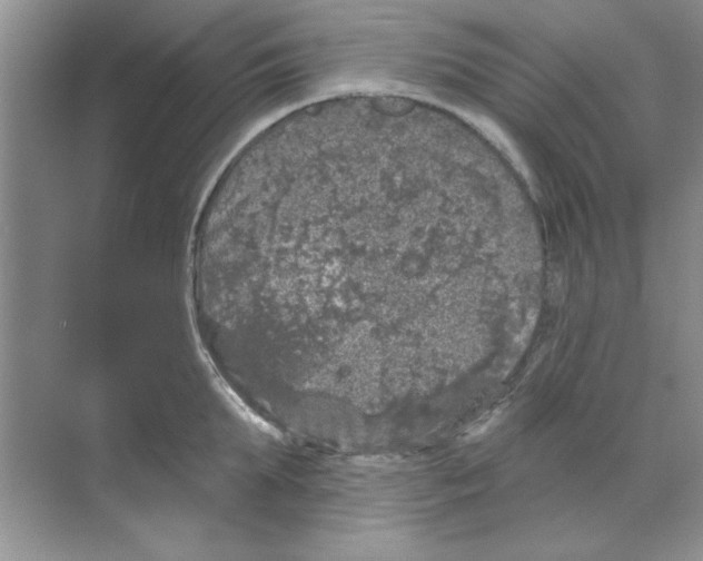 X0000068890903200606021916