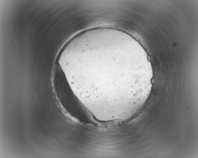 X0000068890904200606021916