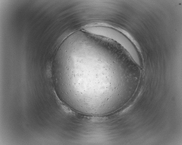 X0000068890905200606021916