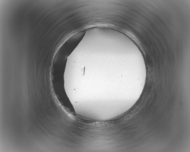 X0000068890906200606021916