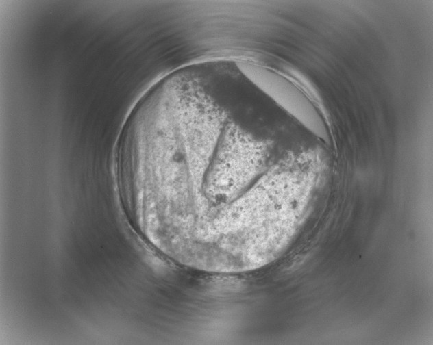 X0000068890907200606021916