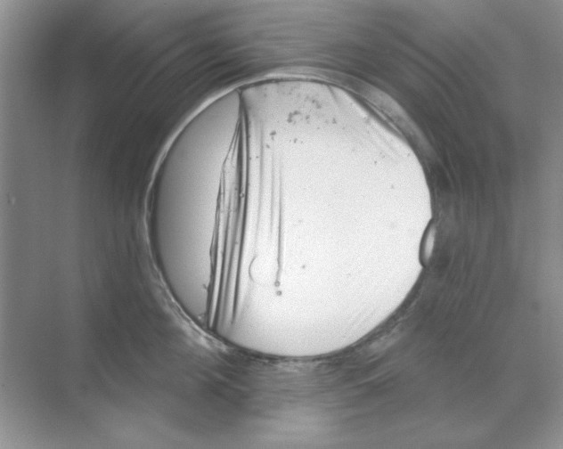 X0000068890908200606021916