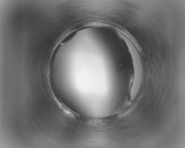 X0000068890909200606021916