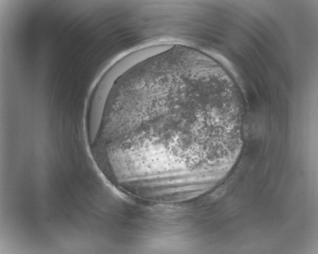 X0000068890910200606021916