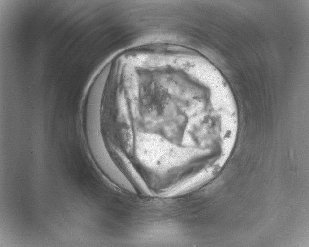 X0000068890912200606021916