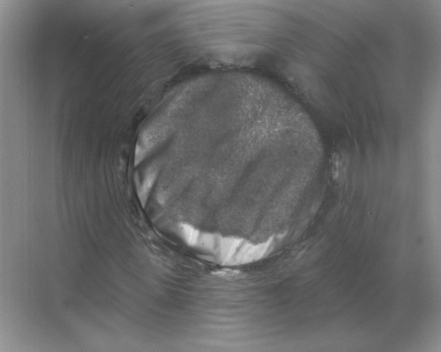 X0000068890915200606021915