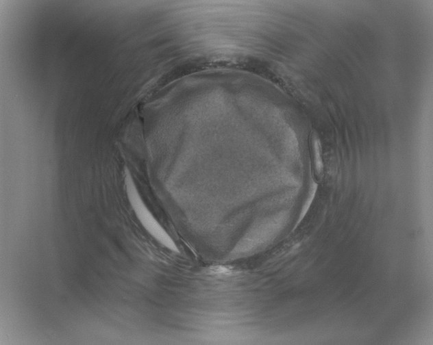 X0000068890916200606021915