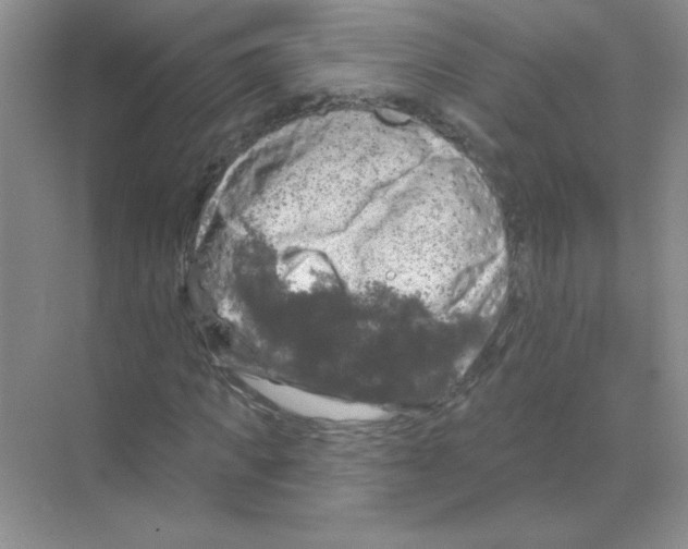 X0000068890917200606021915