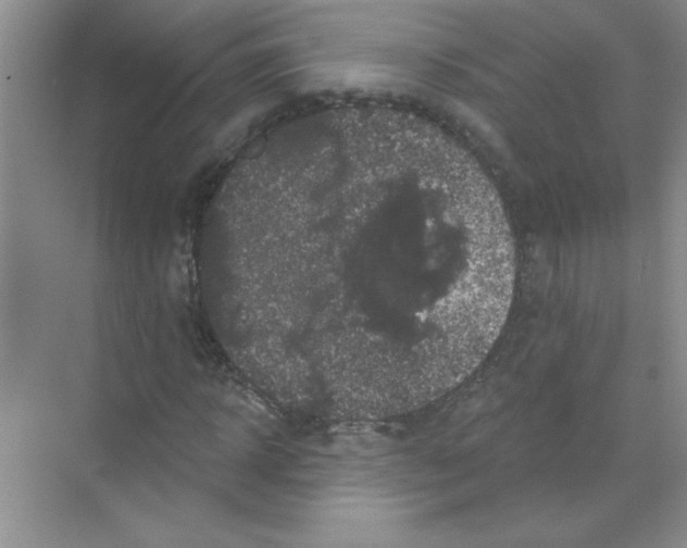 X0000068890918200606021915