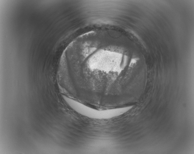 X0000068890919200606021915