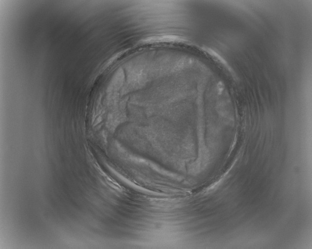 X0000068890921200606021915