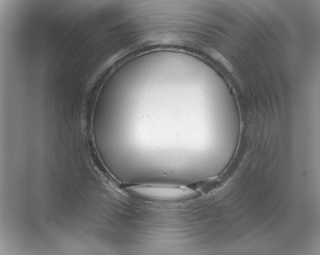 X0000068890922200606021915