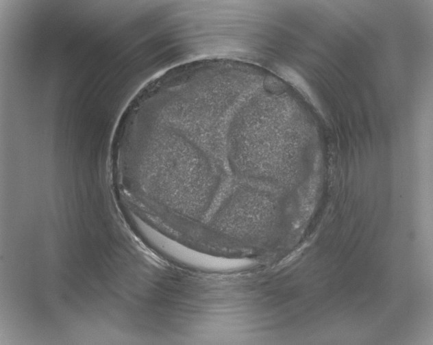 X0000068890924200606021915