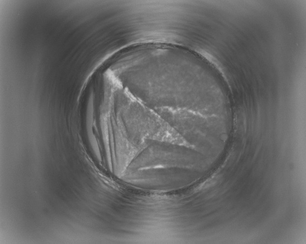 X0000068890925200606021915