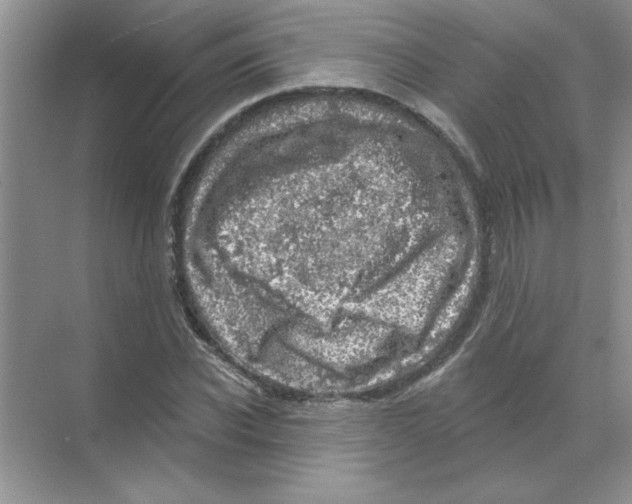 X0000068890926200606021915