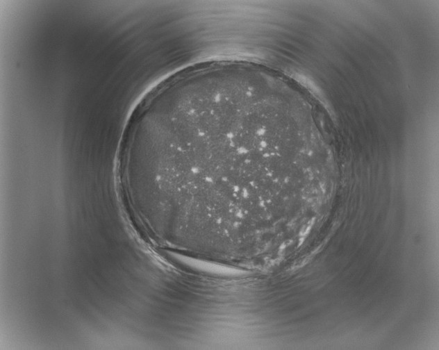 X0000068890928200606021915