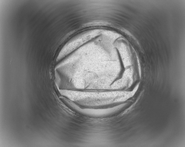 X0000068890929200606021915